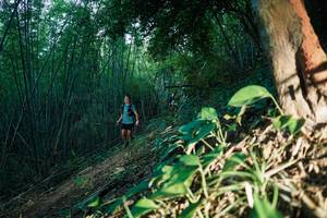 BIB: 
                            <button type="button" onclick="openModal(28124220)" class="btn btn-primary btn-sm float-right btn-popup" data-toggle="modal" data-target=".modal-high-quality">
                        <i class="fas fa-shopping-cart"></i> Add to Cart
                    </button>
                                            <button type="button" onclick="isThisMe(28124220, true)" class="btn btn-success btn-sm float-right btn-popup btn-isme hidden" data-toggle="tooltip" data-placement="bottom" title="นี่คือรูปของคุณใช่ไหม คลิกที่นี่เพื่อเอาเข้าอัลบั้ม">
                        <i class="fas fa-plus"></i> Add to album
                    </button>
                    <button type="button" onclick="isThisMe(28124220, false)" class="btn btn-warning btn-sm float-right btn-popup btn-isnotme hidden">
                        <i class="fas fa-ban"></i> Remove from album
                    </button>